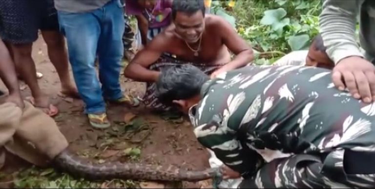 Python Rescued From Keonjhar Village