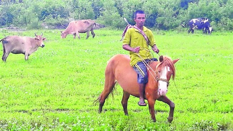 Meet Krishna, Malkangiri’s Very Own Cowboy