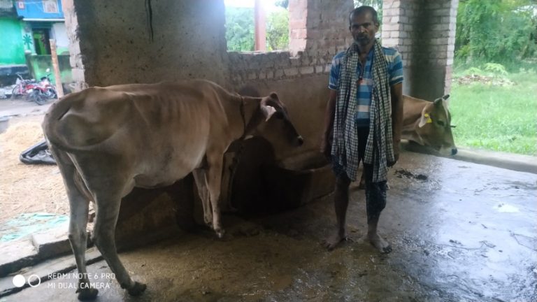 Technology Helps Livestock Farmer In Odisha To Earn More