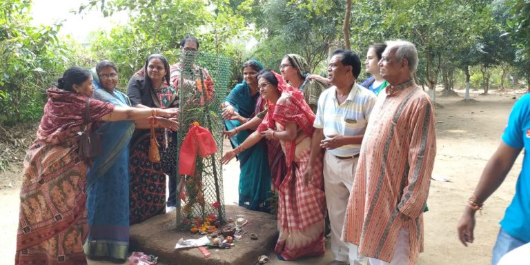 A Unique Twist To Amla Navami By Senior Citizens Of Odisha’s Sambalpur