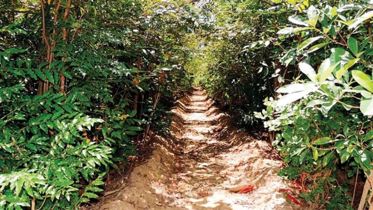 End Justifies Means?