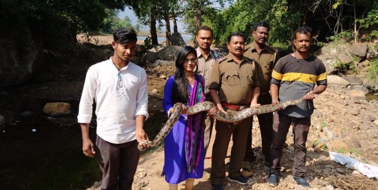 Python Rescued From Truck In Odisha