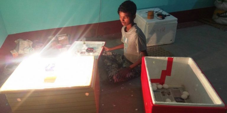 boy balasore artificial egg hatchback