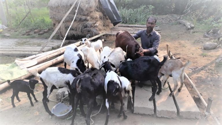 Mobile Advisory Improves Livelihood Of Rural Youth In Odisha