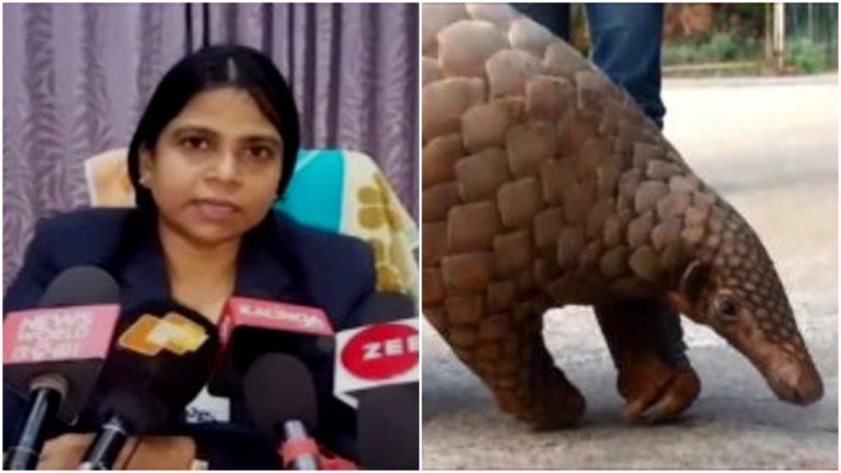 ‘Kingpin’ Of Pangolin Smuggling Racket Nabbed In Odisha