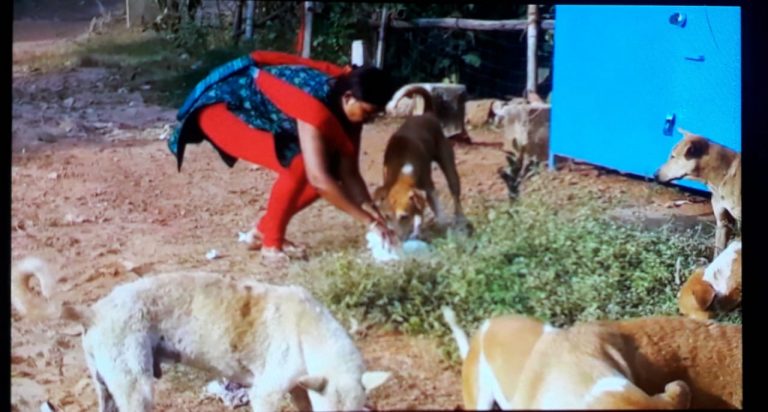 Meet ‘Mother’ Of 200 Stray Dogs In Bhubaneswar