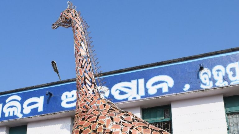 Giraffe Sculpture Made Of Scrap By Odisha Students In Asia Book Of Records