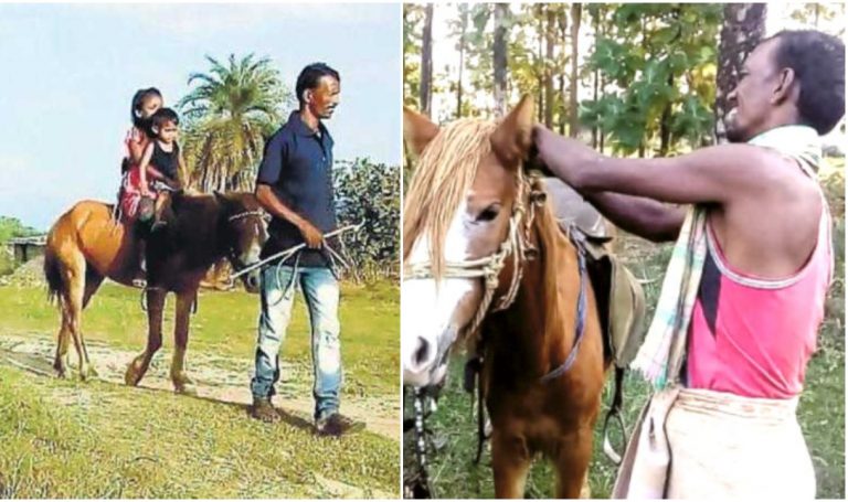 Odisha Farmer Rides Horse To Avoid Hefty Traffic Fines