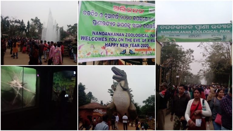 Odisha’s Nandankanan Gears Up For New Year’s Day Preparations, 40K Visitors Expected