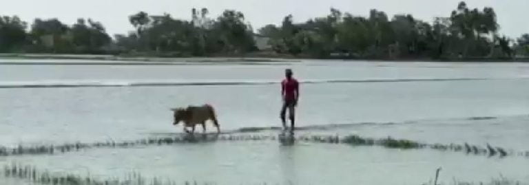 Cyclone Amphan Impact: Farmers Distressed As Land Inundated With Saline Water In Odisha’s Bhadrak