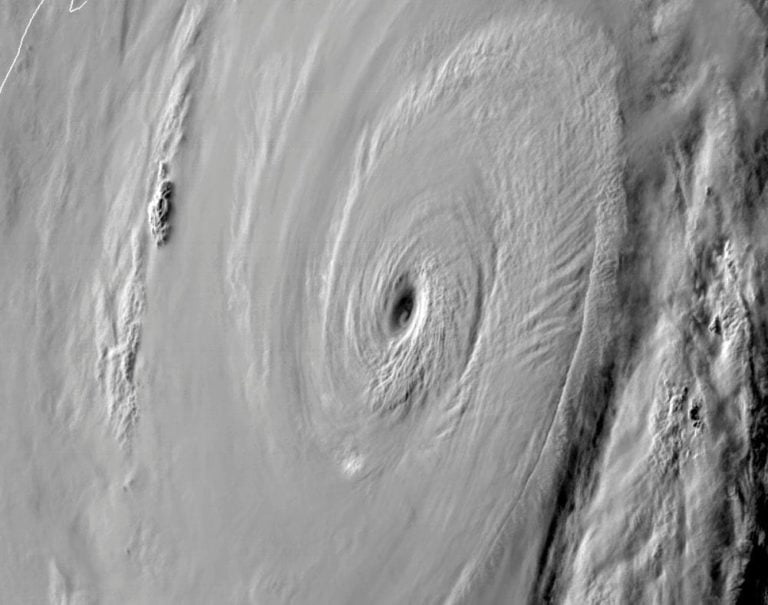 Amphan Brings Rain & Gale; Know The Wind Speed In These Odisha Districts