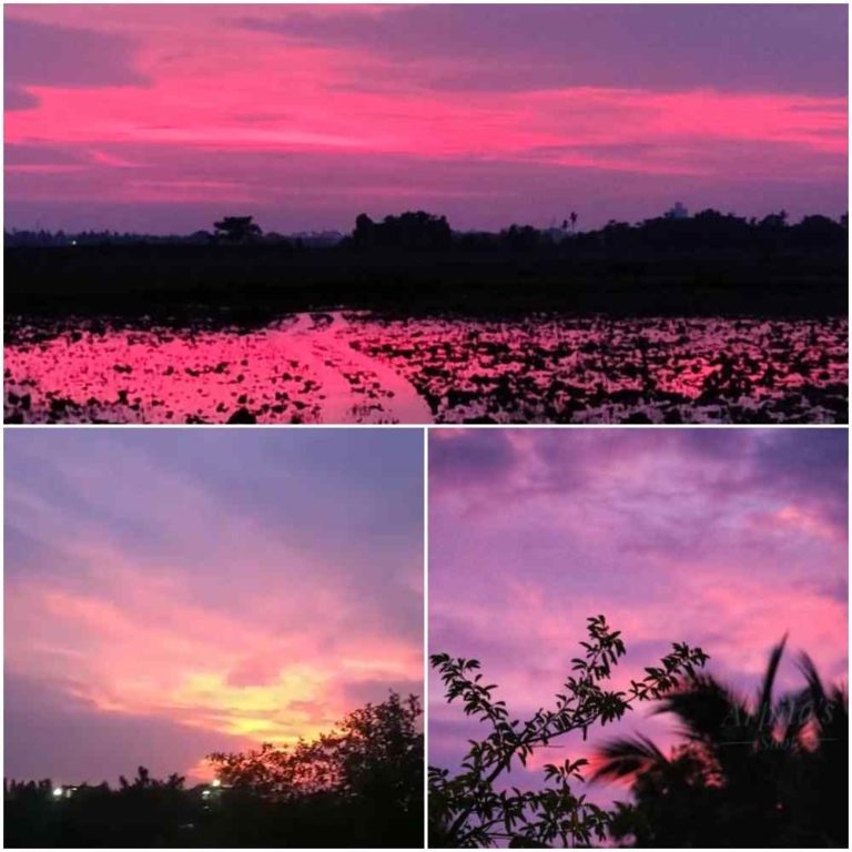 Bhubaneswar Sky Turns Pink After Cyclone Amphan