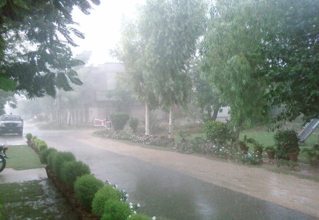 Rain Forecast