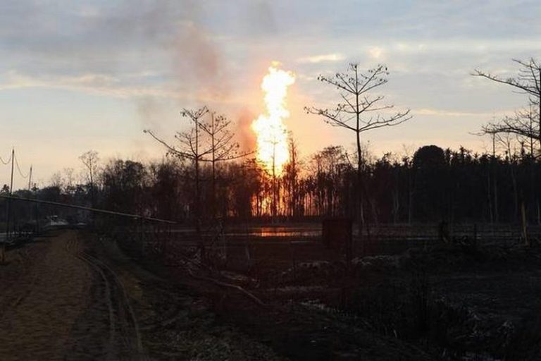 Assam Oil Leak: Pollution Control Board Orders Baghjan Oilfield To Close Operations