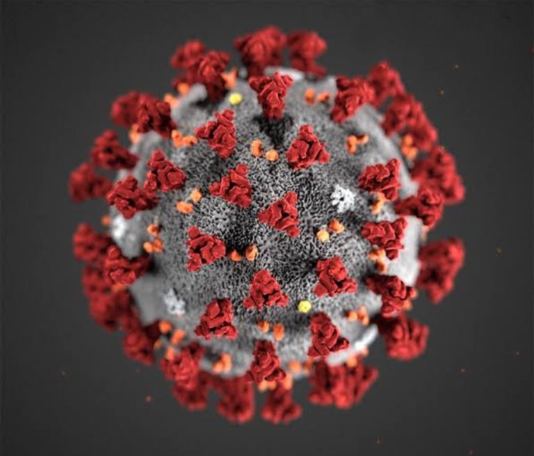 Corona Crisis: India Overtakes Italy As 6th Worst Hit Country