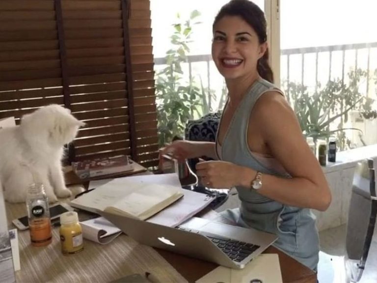 Money Laundering Case: ED Summons Jacqueline, Says Actor Knew About Extortion