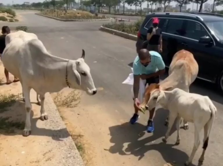 [Watch] Shikhar Dhawan & Son Feed Stray Animals During COVID-19 Crisis