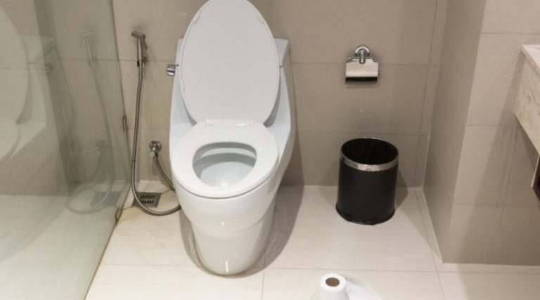 World Toilet Day: Innovation Is Key To Sanitary Health Of Indians