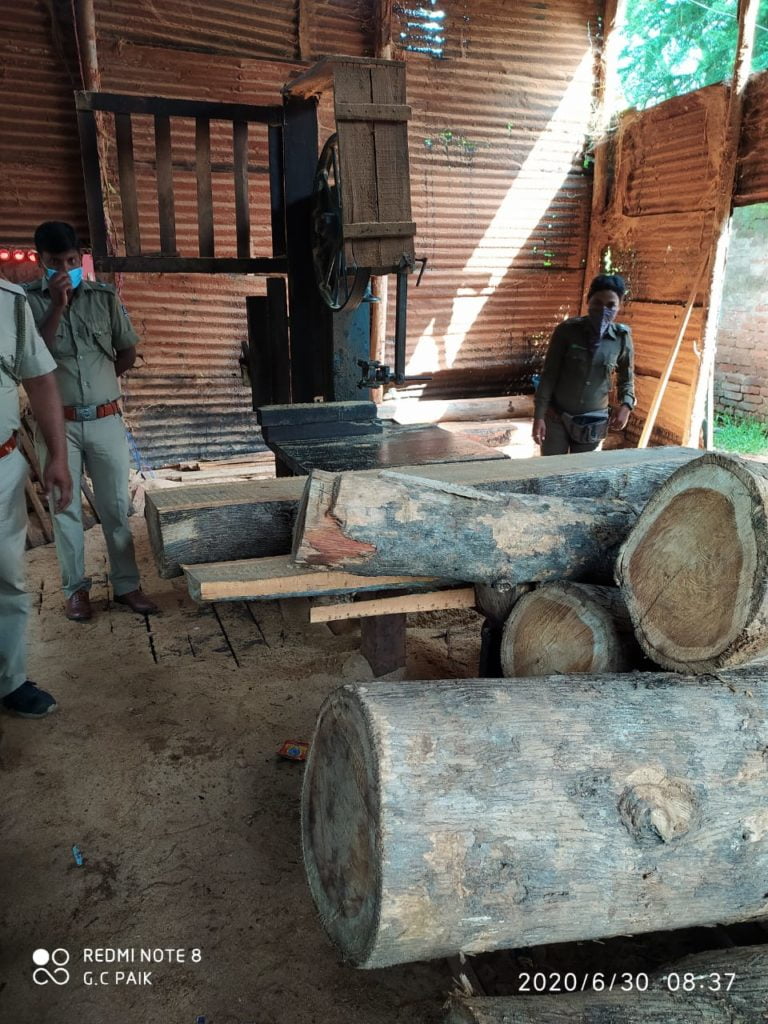 Timber Worth Rs 2.75 Lakh Seized In Odisha’s Sambalpur