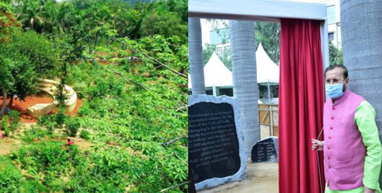 An ‘Urban Forest’ At CAG’s New Delhi Office For A Balanced Ecosystem