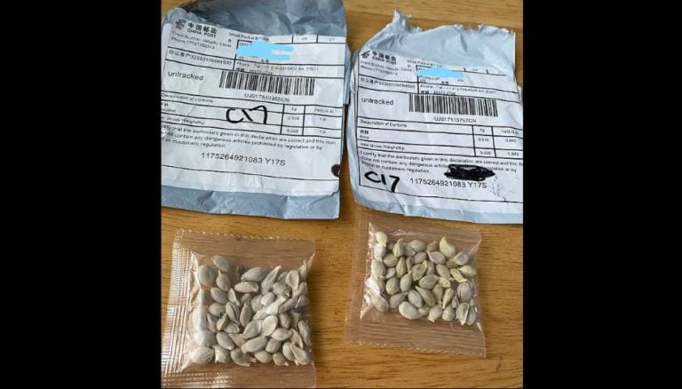 chinese seeds scam