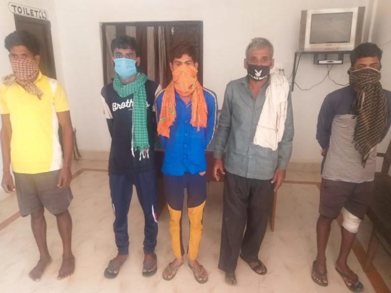 850 Kg Ganja Seized In Odisha’s Koraput, Five Held