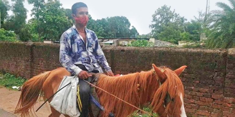Milkman In Odisha’s Malkangiri Delivers Milk On Horseback In Containment Zone