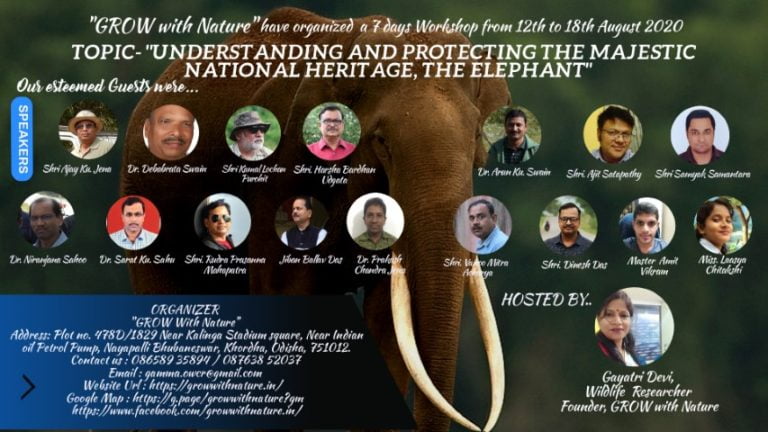 7-Day Webinar Workshop On Elephants With Special Focus On Odisha