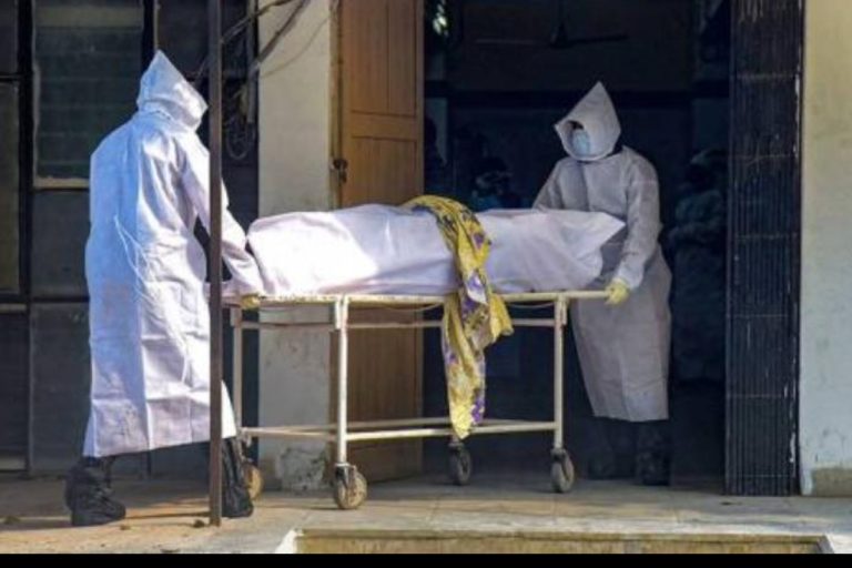 covid death WHO estimate