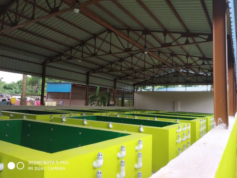 Bhubaneswar To Get 32 Composting Centres By December; Facility To Manage Plastic Waste In Pipeline