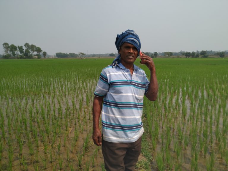 Pocket-Friendly Pest Control Remedies From Reliance Foundation Saves Odisha Farmer