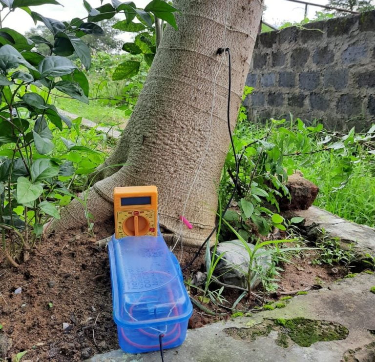 Odisha Researchers Develop Device That Can Measure Heartbeats Of Plants