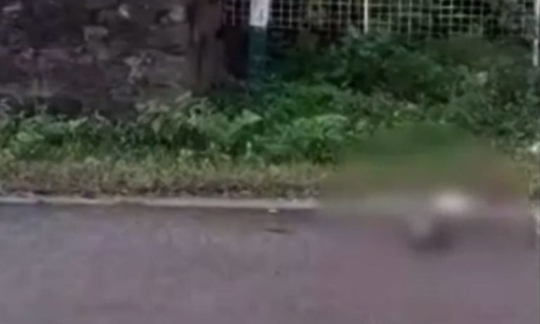 Severed Head Of Newborn Found In Odisha’s Angul