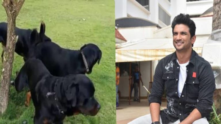 Sushant Singh Rajput Sent Money For His Pets A Day Before His Demise