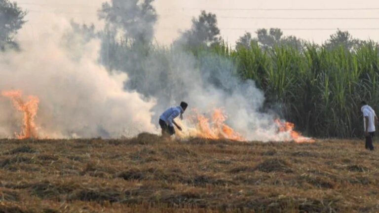 stubble burning