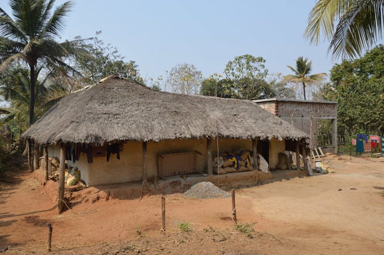 A Winter Scene in Central Odisha in January 2018 Photo Credit - Wikimedia Commons