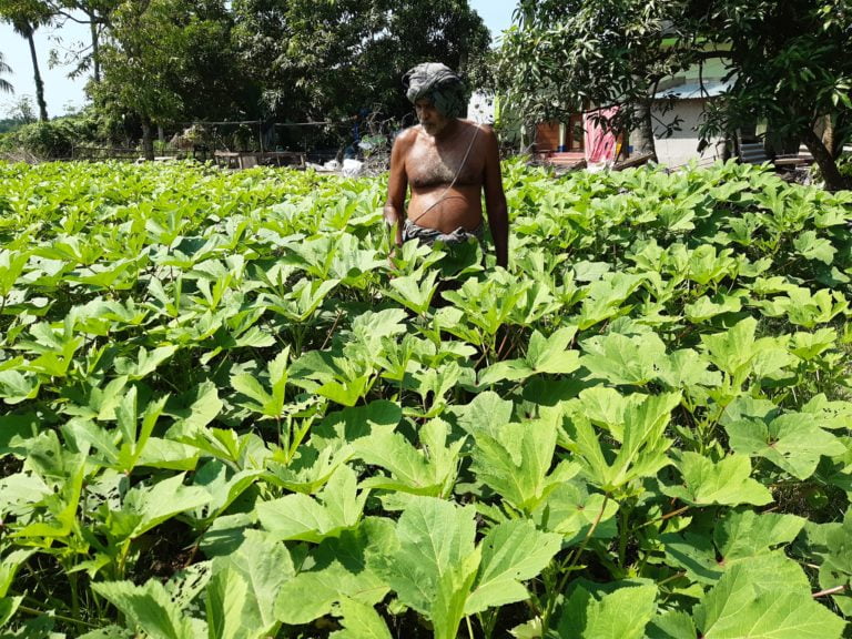 Odisha Farmer Switches To Hassle-Free Integrated Farming With Virtual Advisories