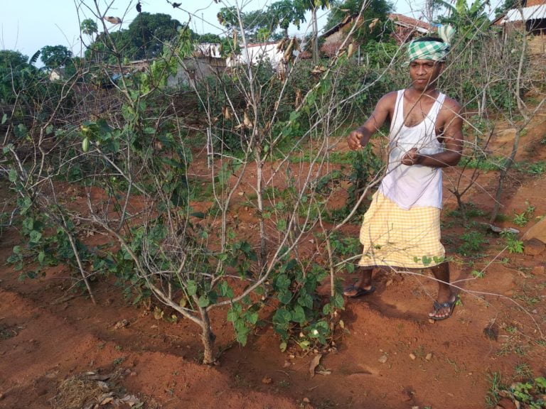 Odisha Farmer’s Fallow Land Turns Productive With Virtual Farming Tips
