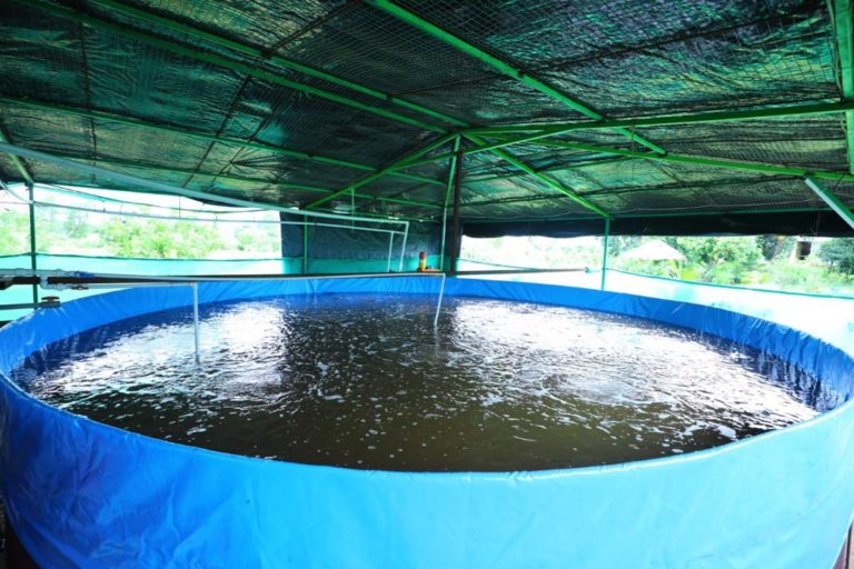Bhubaneswar Man Nets A Good Catch From Fish Farming In Tarpaulin Tanks