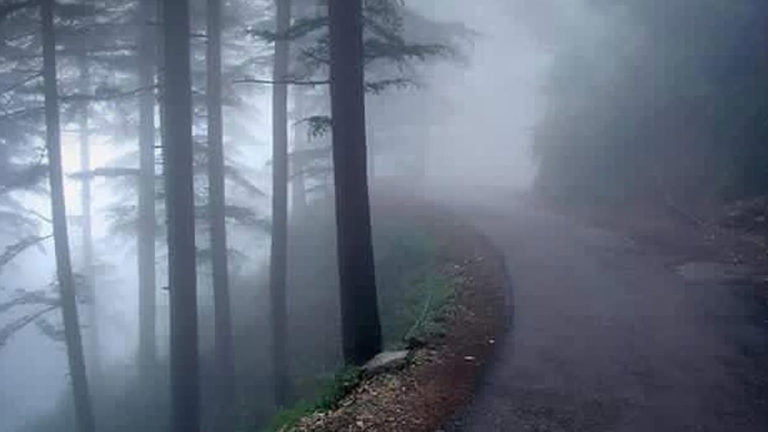 eco retreat project Daringbadi