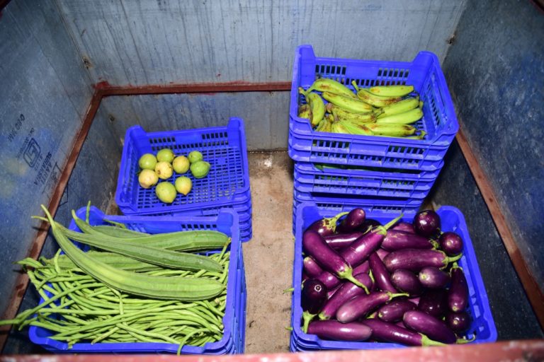Sabji Cooler Sundargarh farmers
