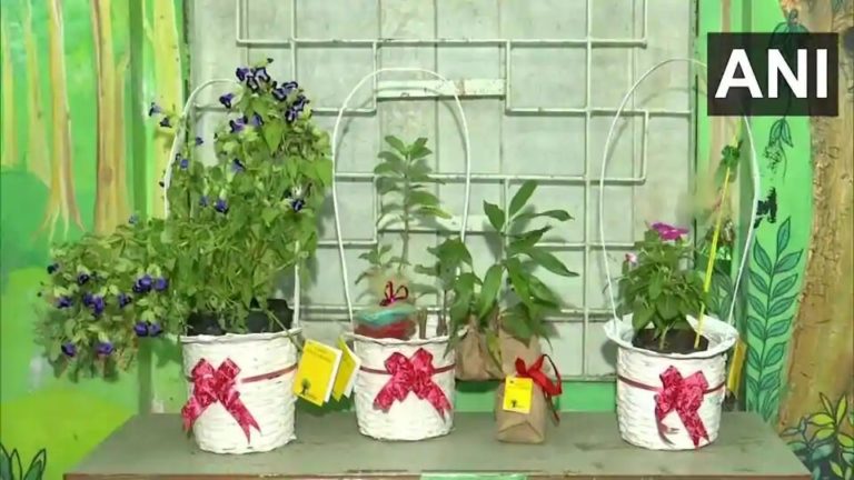 Odisha's Bakul Foundation Campaigns for plants as gifts this diwali