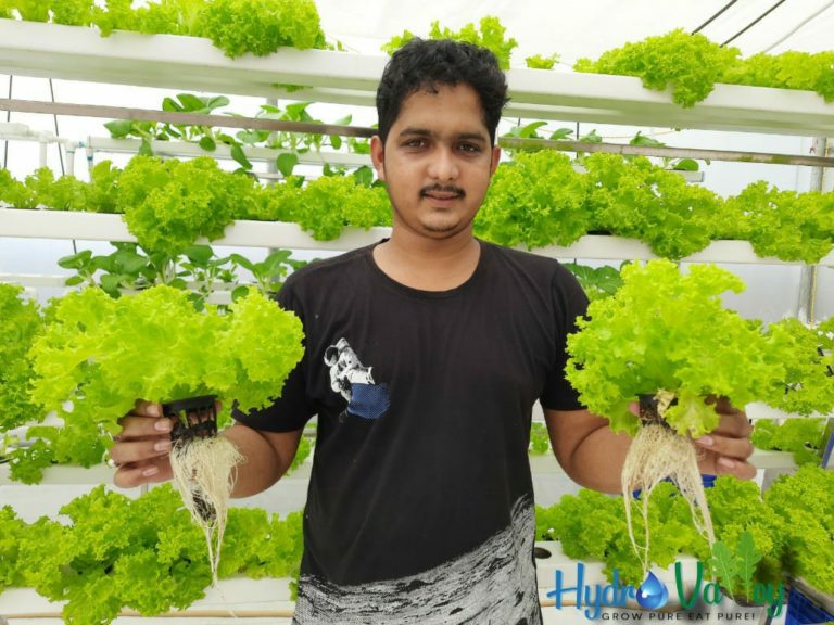 Jagatsinghpur Youth Sows Seeds Of Soil-Less Farming In Odisha