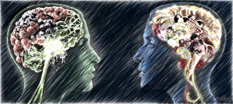 MIND Diet Is Best For A Healthy Brain