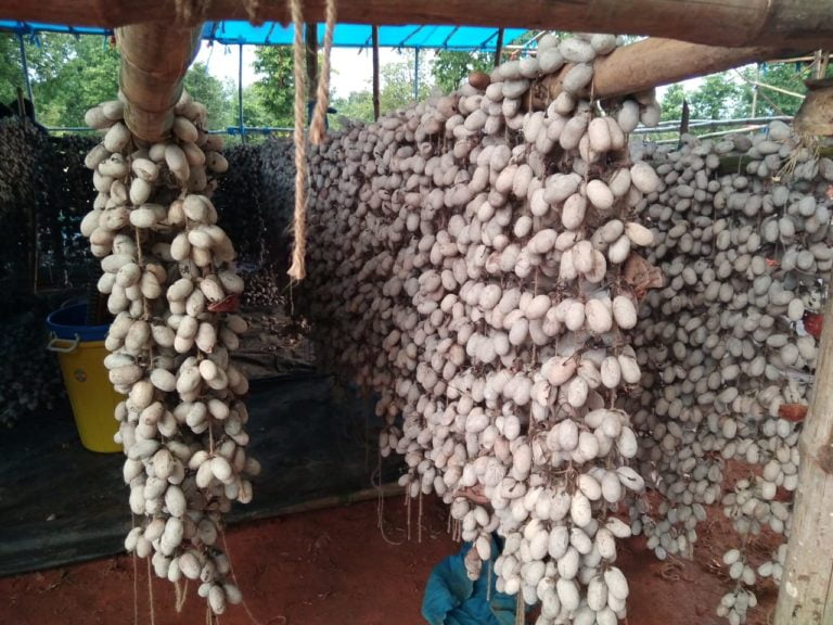 tasar silk park sundargarh