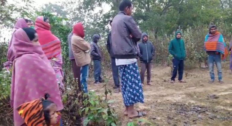 Minor Killed, One Injured In Elephant Attack In Odisha’s Angul