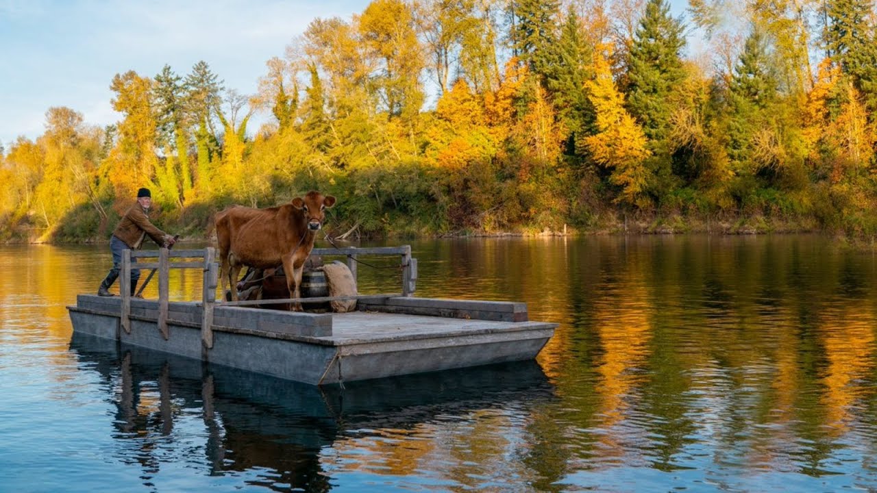 first cow top movies of 2020