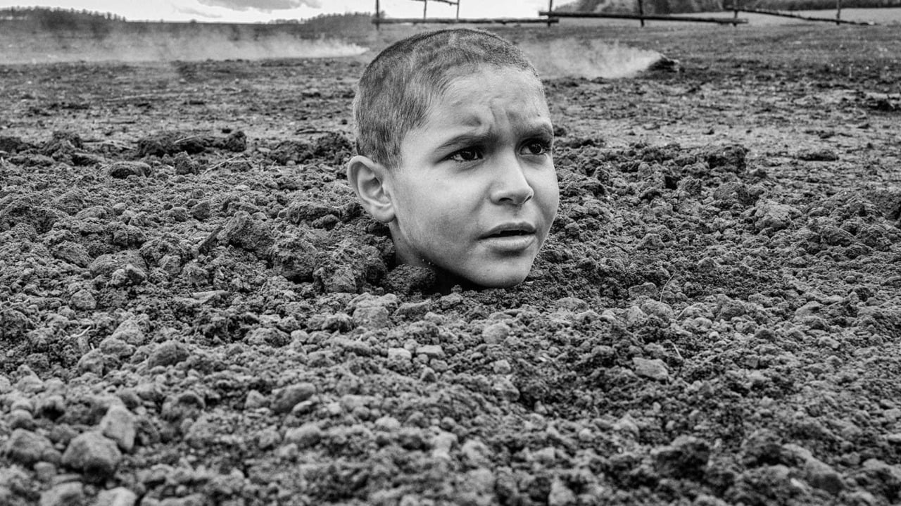 the painted bird top movies of 2020