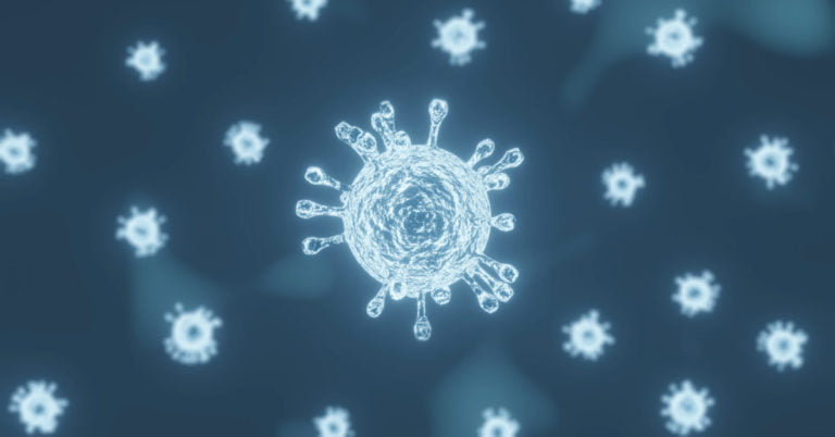 new covid variant JN.1