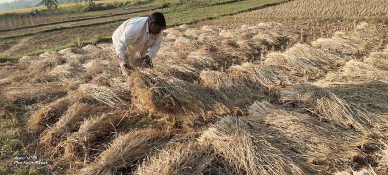 Reliance Foundation: How It Helped An Odisha Farmer Save His Crop